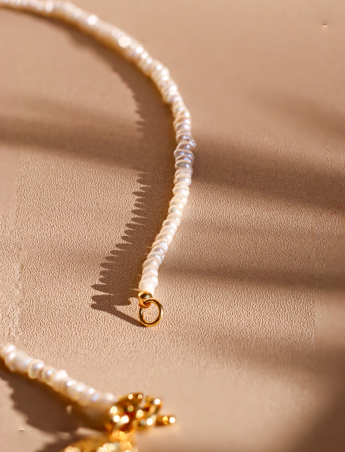 Pearl Sailor's Gold Coin Necklace